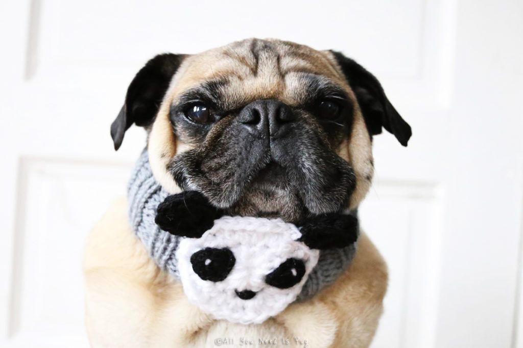 Panda Dog Neck Warmer