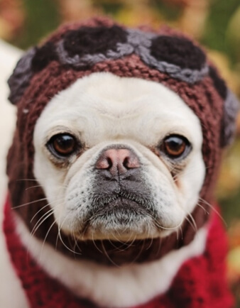 Red Baron Dog Costume