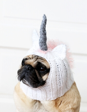 Unicorn Dog Hat