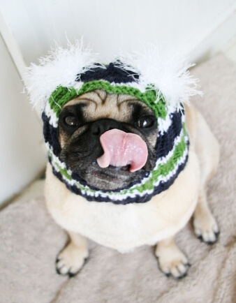 The Original Snuggly Pug Hat