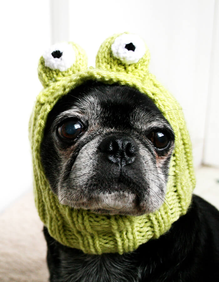 Frog Dog Hat