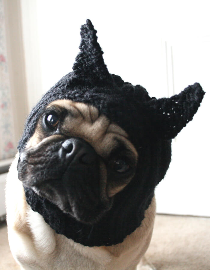 Black-Cat Dog Hat