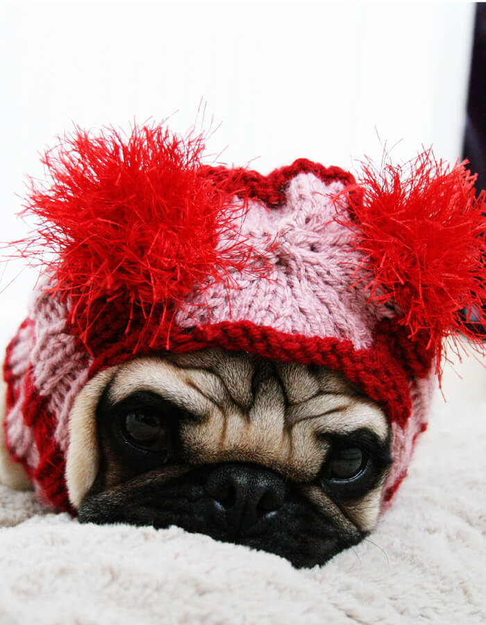 Sweet Valentine Dog Hat