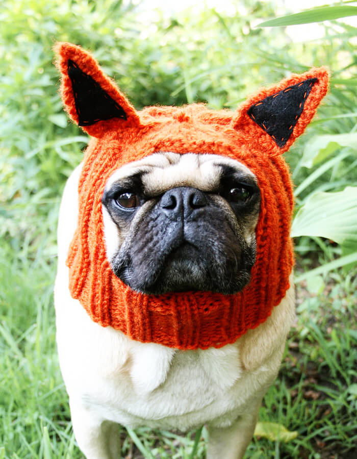 Fantastic Little-Fox Dog Hat