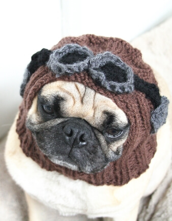 Aviator Pug Hat