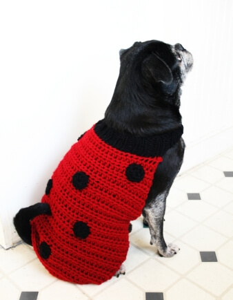 Ladybug Dog Sweater