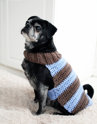 Custom Dog Sweater