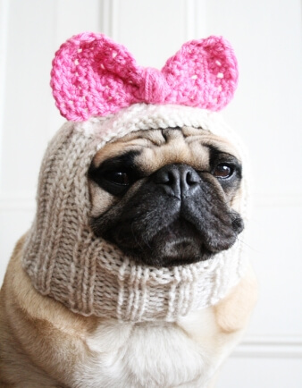 Betty Bow Dog Hat