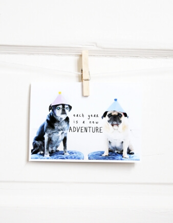 Adventure Pug Birthday Card