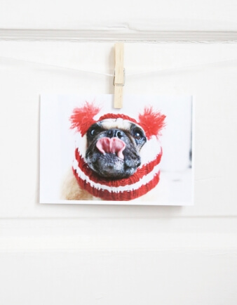 Happy Holidays Pug Card