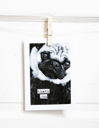 Pug Thank You Card