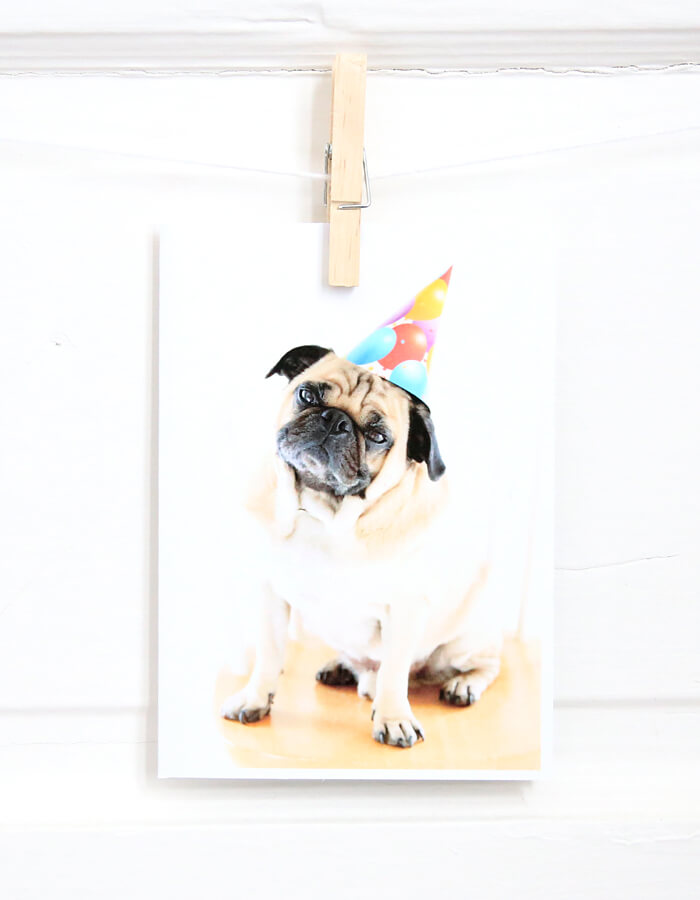 A Very Pugly Birthday Card