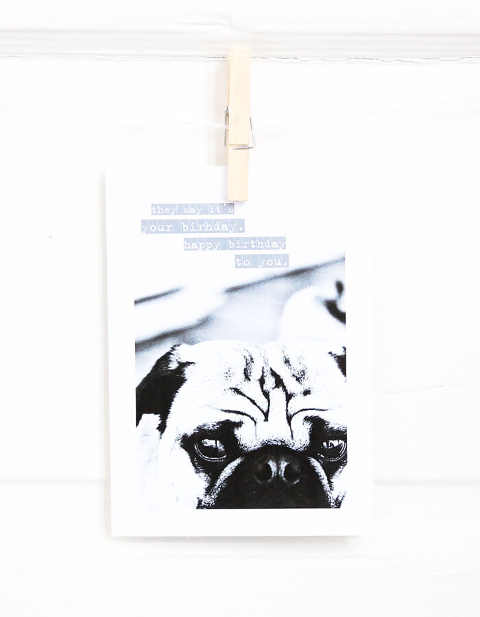 They Say It's Your Birthday Pug Greeting Card