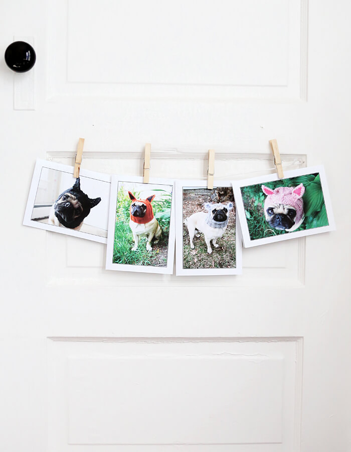 Pug Creature Greeting Cards