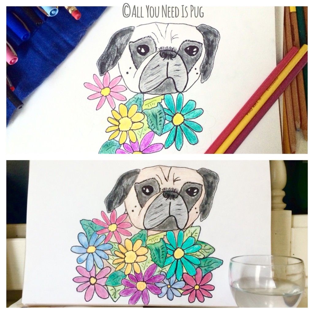 Floral Pug Illustration