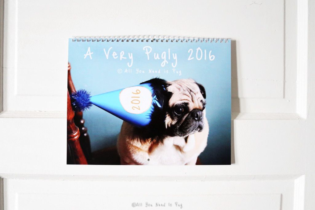 2016 Pug Calendar