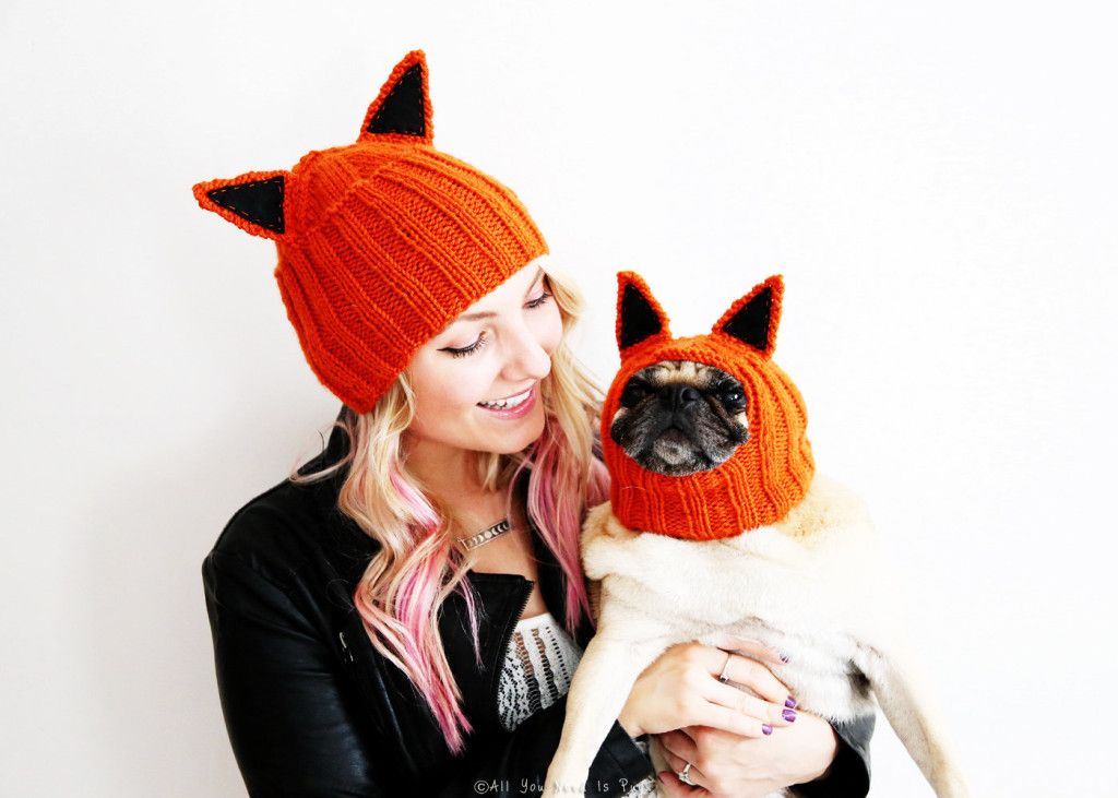 All You Need is Pug Fox Hats