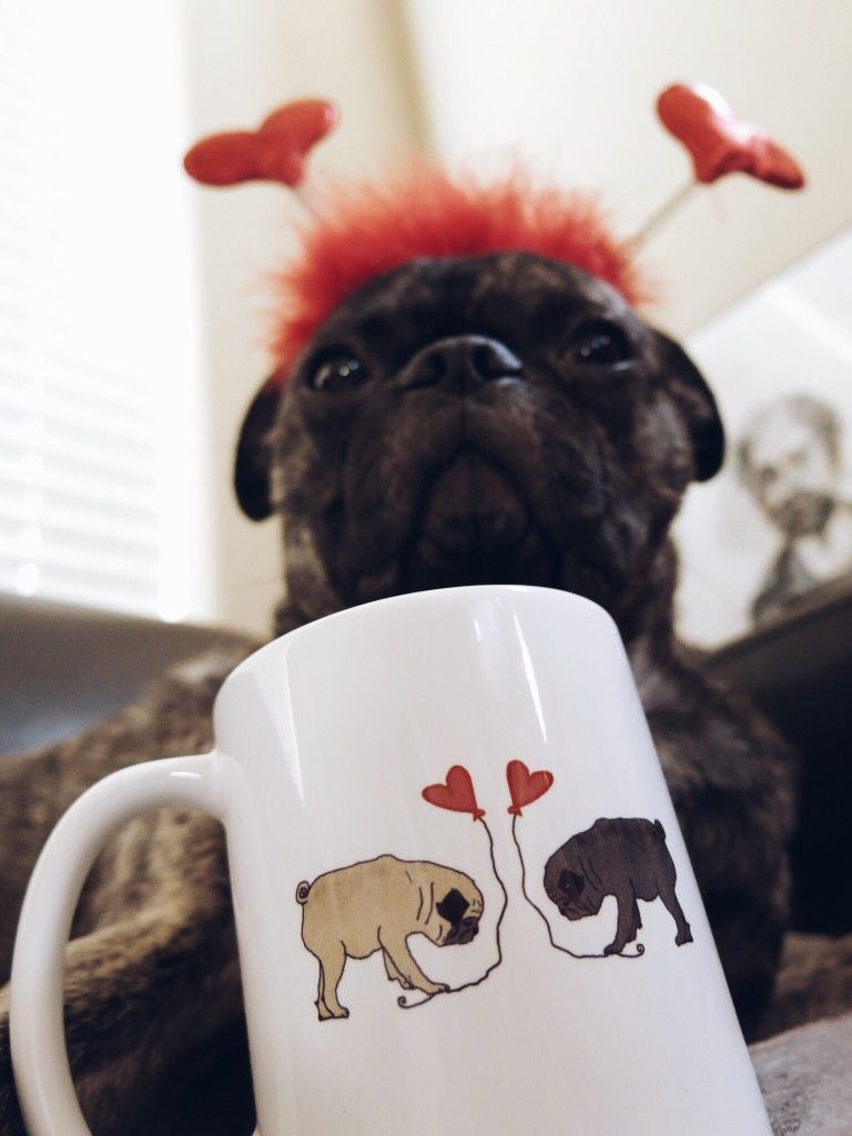 Wallace and Pug Mug