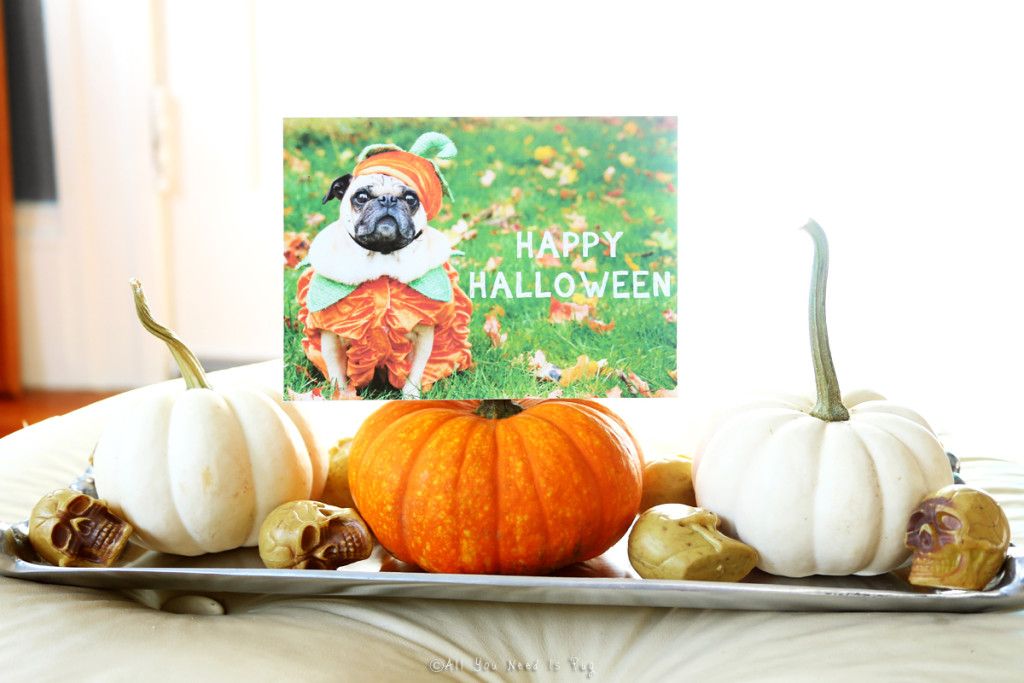 Halloween Pug Card