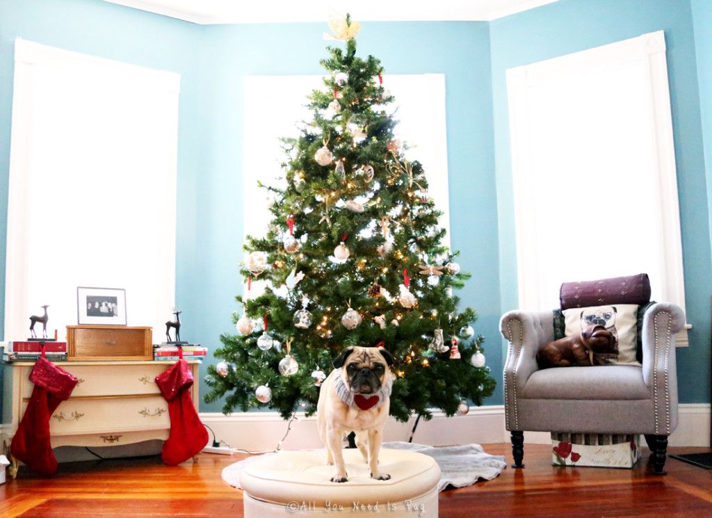 Pug Christmas Tree