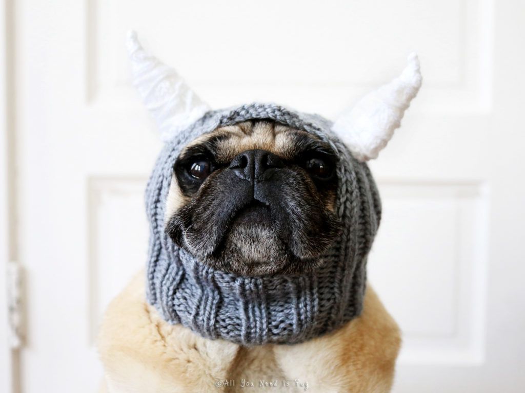 Little Beastie Pug Hat Dog Hat by All You Need is Pug